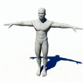 Person Base Male Rig 3d model