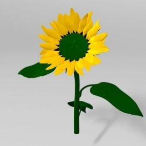 Realistic Sunflower 3d model