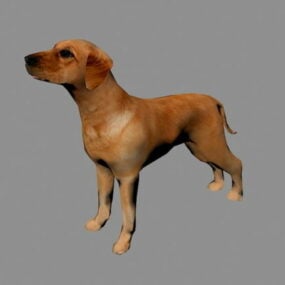 Modelo 3d realista de cachorro bronzeado
