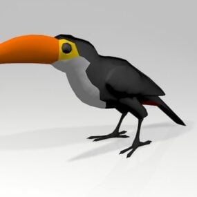 Model 3D Toucan Parrot