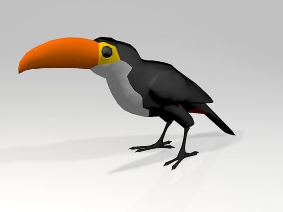 Perroquet toucan