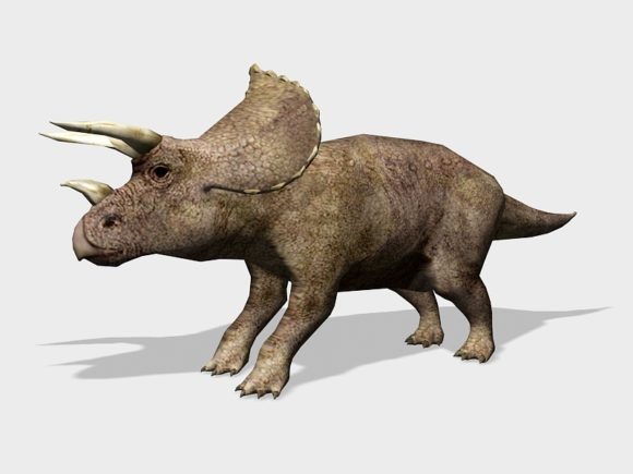 Prehistoric Triceratops Dinosaur