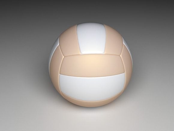 Volleyball Ball White Color