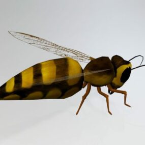 Wasp Bee 3d-malli