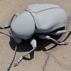 清道夫甲虫3d模型