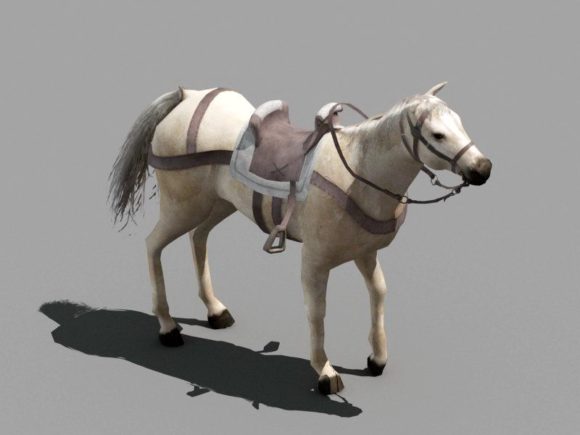 White Horse With Saddle