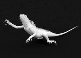 White Lizard Crawling 3d model