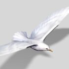 Pájaro de mar blanco