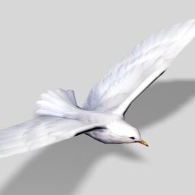 Modello 3d dell'uccello marino bianco