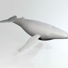 Baleine Blanche Low Poly