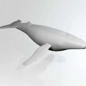 Düşük Poli Beyaz Balina 3d modeli
