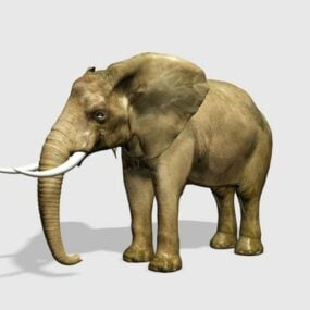 Model 3d Gajah Liar yang realistik