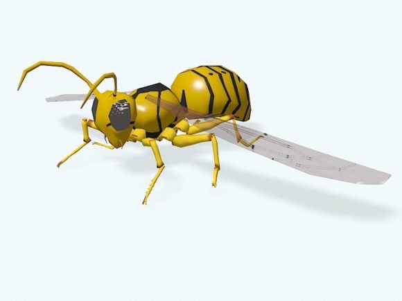 Yellow Hornet Insect