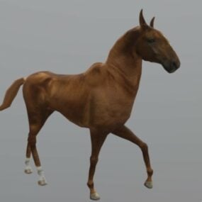 Realistic Horse Blender Model 3d model