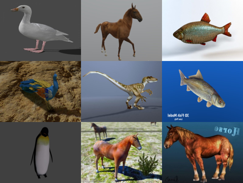 12 חיה מציאותית Blender מודלי 3D