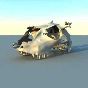 نموذج جمجمة الماعز الممسوح بالليزر ثلاثي الأبعاد