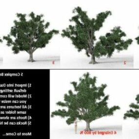 Ensemble complexe d'arbres à feuilles larges modèle 3D