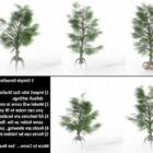 Simple Broadleaf Tree Set