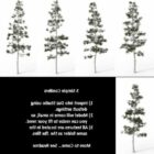 Simple Conifer Tree Set