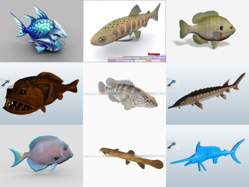 Top 9 Fish 3D Models for Rendering Most Recent 2022