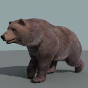 Realistisk Bear Walking 3d-modell