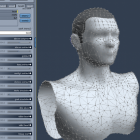 Man With Dynamic Hair Collider 3d model