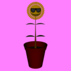 Cartoon zonnebloem plant