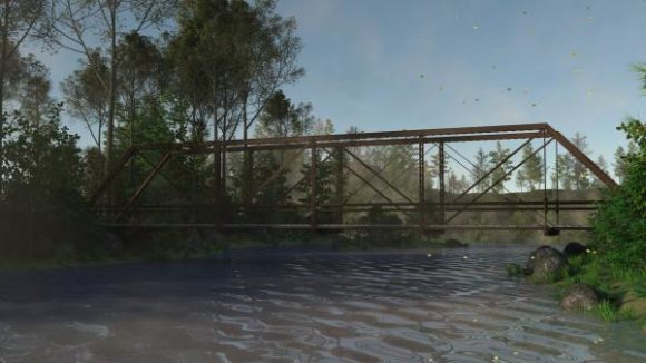 Wood Bridge On Lake Scene