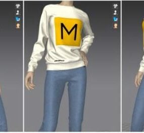 Maravilloso diseñador suéter moda modelo 3d