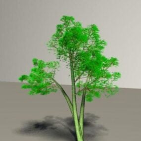 مدل سه بعدی درخت کاج کاج