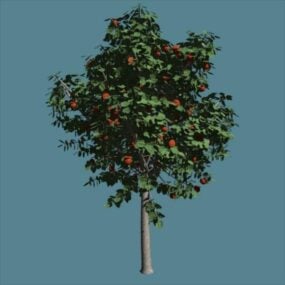 עץ פרי עם פירות מודל תלת מימד