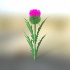 Thi écossaisstle Fleur modèle 3D