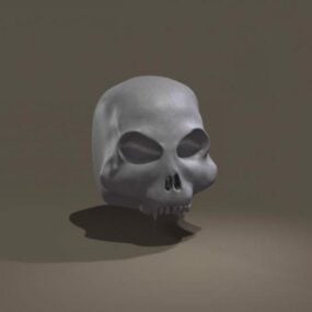 Alter menschlicher Schädel 3D-Modell