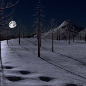 דגם תלת מימד של סצנת לילה שלג