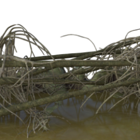 Swamp Landscape 3d model