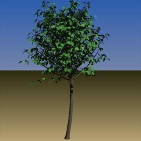 مدل سه بعدی برگ پاییزی درخت بلوط در فضای باز