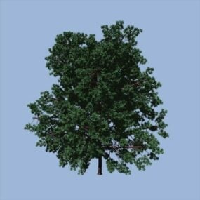 Winter Willow Tree 3d-modell