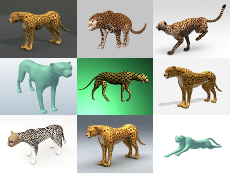 12 Model 3D Cheetah Terbaik untuk Reka Bentuk Terbaru 2022