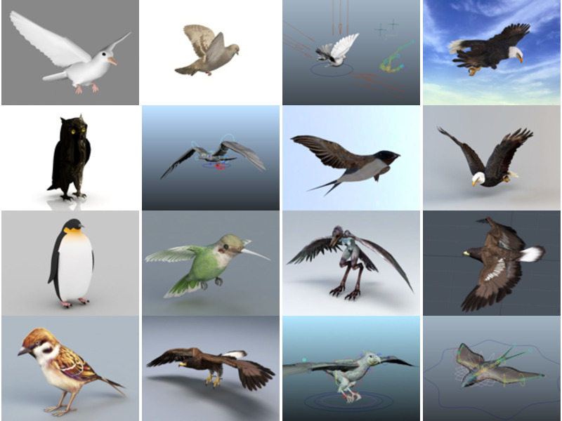 18 年观看次数最多的 3 个鸟类 2022D 模型