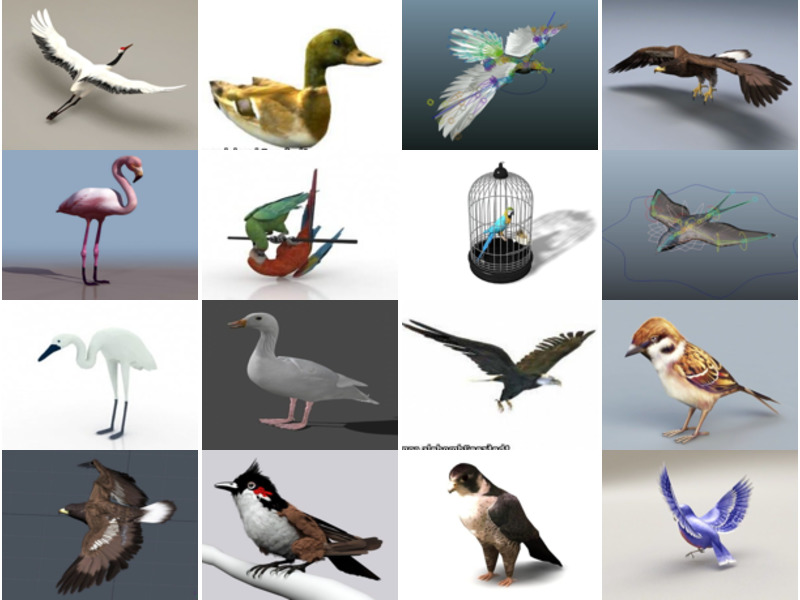 Top 22 Birds 3D Models Most Viewed 2022