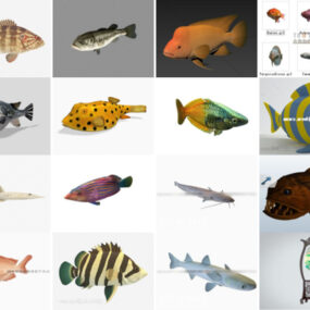 27 Model 3D Ikan Teratas Terkini 2022