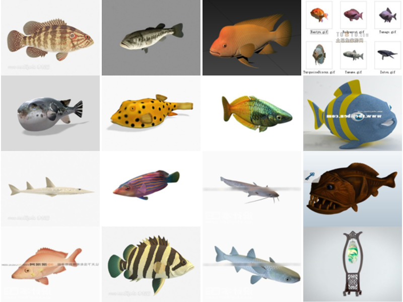 Top 27 Fish 3D Models Latest 2022