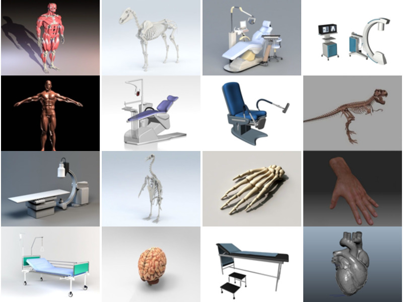 Топ 33 анатомических 3D-моделей, самых популярных в 2022 году
