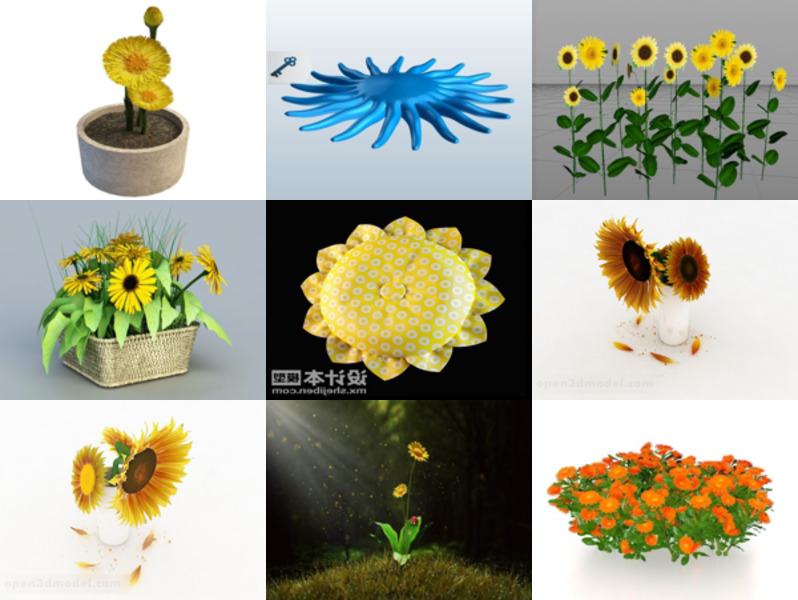 Top 11 Sunflower 3D Models Latest 2022