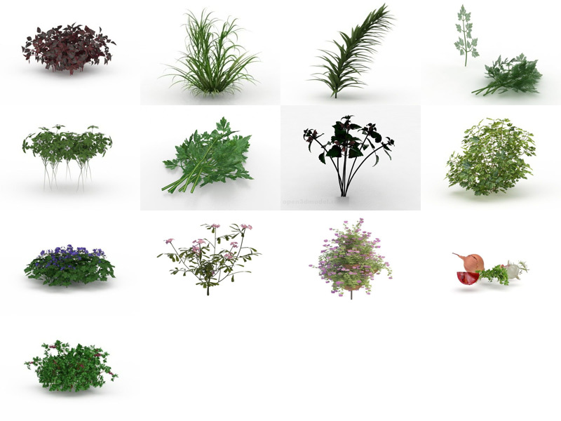 I 13 migliori modelli 3D di erbe più recenti del 2022