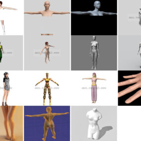 Top 15 gratis 3D-modellen voor vrouwelijk lichaam Meest recente 2022