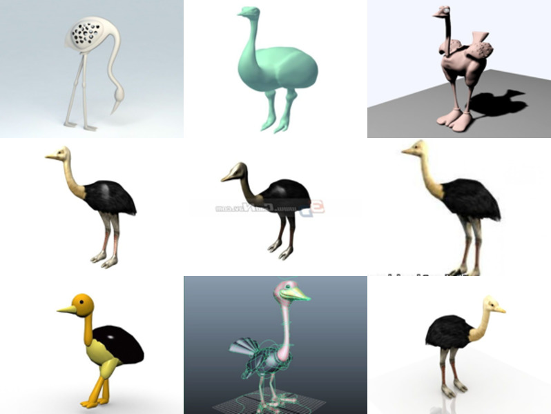 Top 9 Ostrich 3D Models Stuff Latest 2022