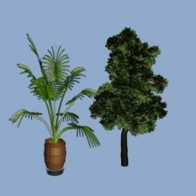Model 3d Set Tumbuhan Dua Pokok