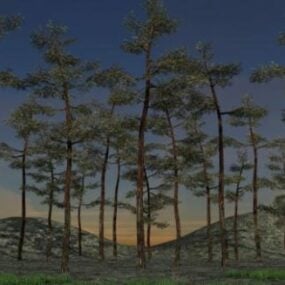 نموذج منظر طبيعي لأشجار الصنوبر ثلاثي الأبعاد