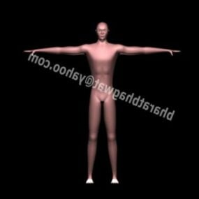 Modelo 3d de malla base de personaje masculino humano
